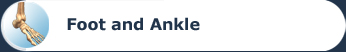 Foot and Ankle