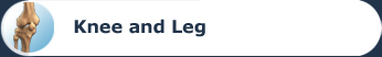 Knee and Leg